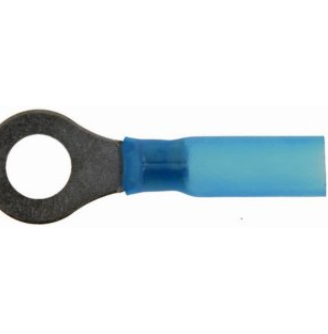 Shopforless598 Shopforless598