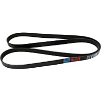 Dayco Drive Belt-Serpentine belt