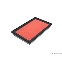 NPN Air Filter-Disposable