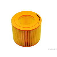 Mann-Filter Air Filter-Disposable